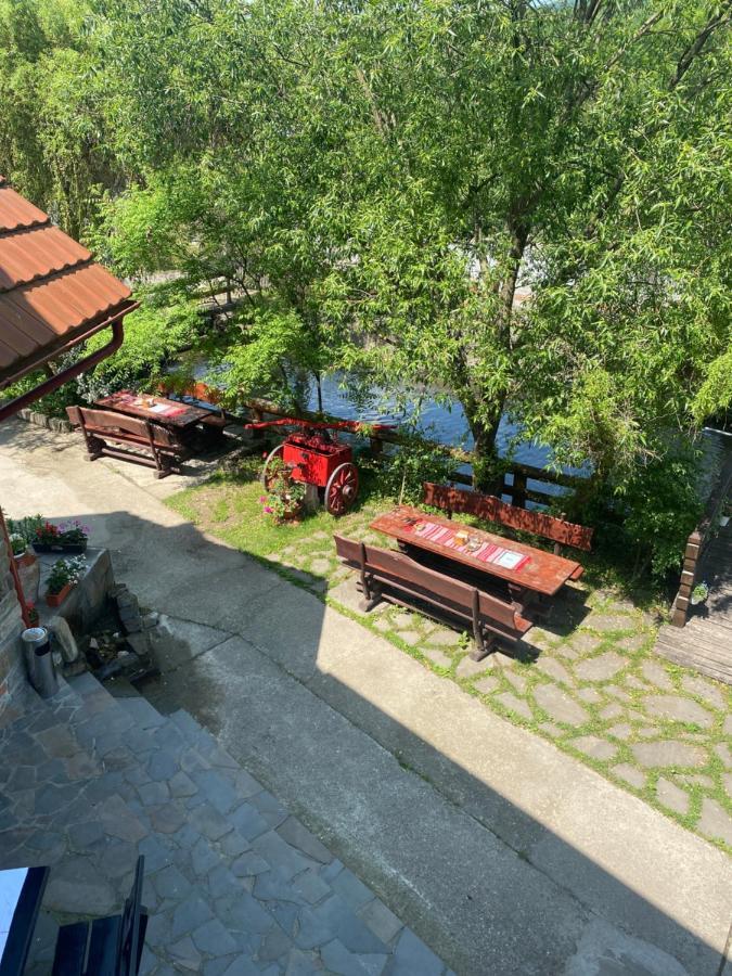 Pensiune Pastravarie La Pintea Haiducu Deseşti Eksteriør bilde