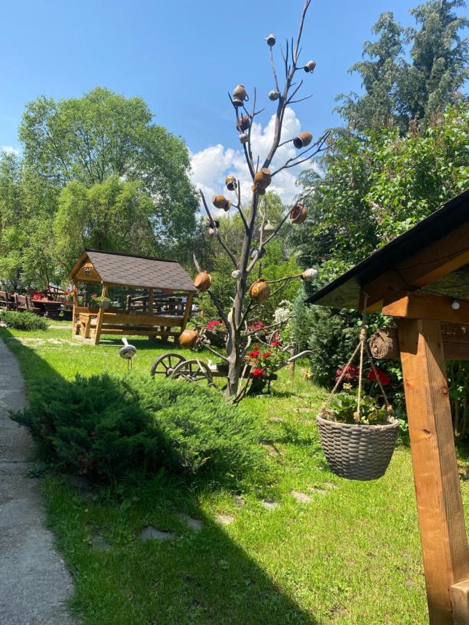 Pensiune Pastravarie La Pintea Haiducu Deseşti Eksteriør bilde